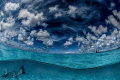   Overunder image. great Barracuda entered frame while was taking this shot Bonaire. image Bonaire  